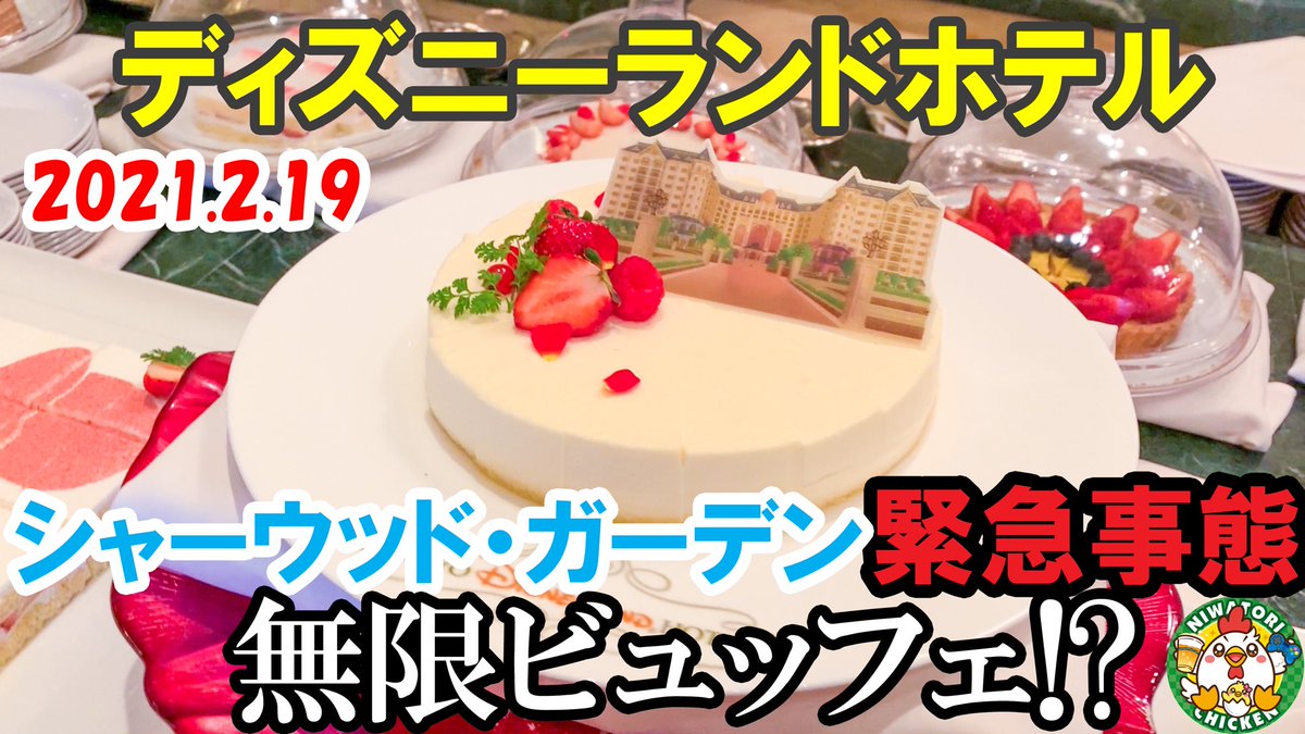 ディズニーvlog