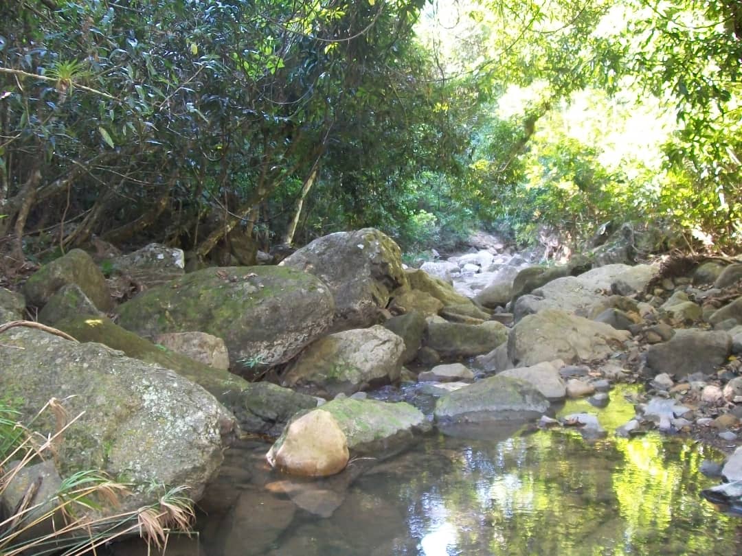 Hoy día del trabajador del turismo. Felicidades. #ProvinciaGranma por un #turismo de naturaleza
#Cuba 
#PatriaOMuerte