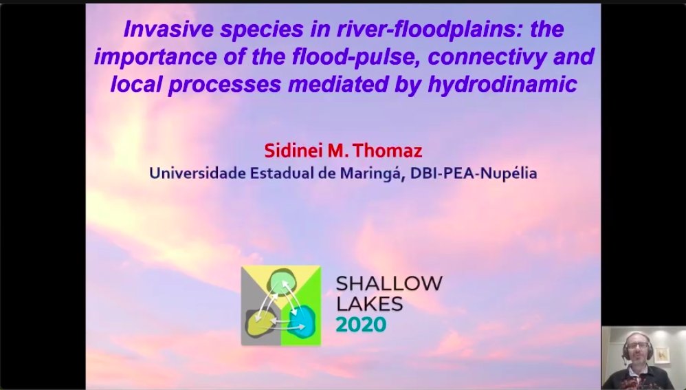 Shallow Lakes tweet media