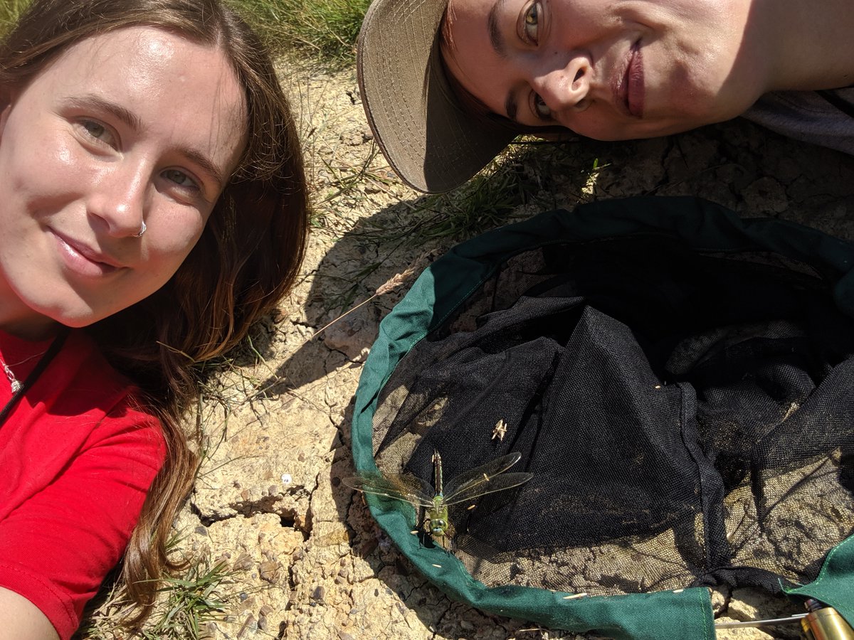 Many people working in #wildlife #conservation are scientists - biologists, ecologists and data scientists to name just a few! 
I've never seen any of them in a lab coat - to be fair, white's a terrible idea for fieldwork 😂#smashingstereotypes #ScienceWeek