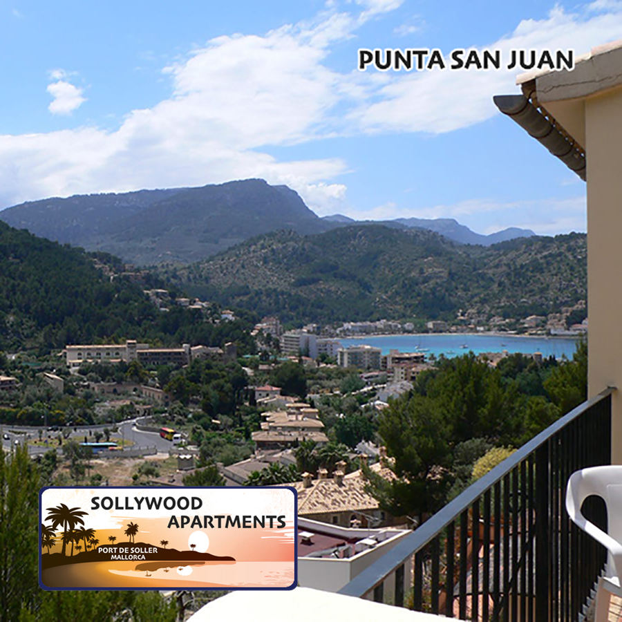sollerweb's tweet image. Hotel Showcase... 1 a day...  apartments to rent in Puerto de Soller 🌴

SOLLYWOOD APARTMENTS - Bella Vista and Punta San Juan, two beautiful apartments, with great views in Puerto de Soller.

sollerweb.com/sollywood.html
Reservations: +34 654 749 962
Email: sollywood2014@gmail.com