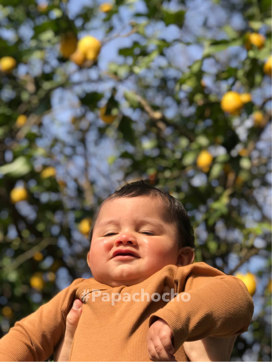 Lucho aka #papachocho  tweet media