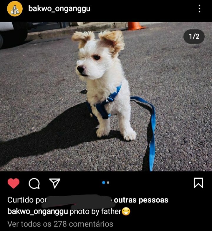 juh⁴⁺⁴æ tweet media