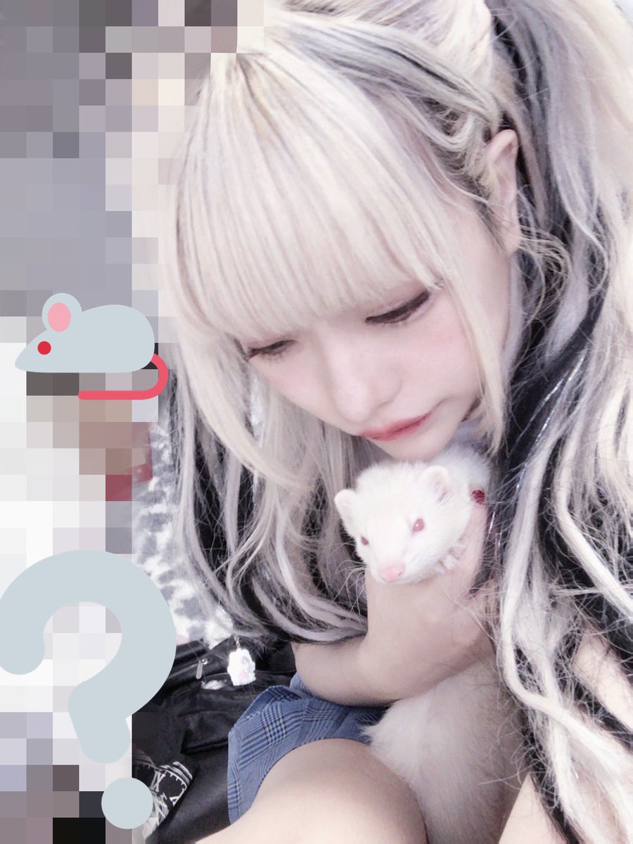 himebab's tweet photo. ((o(｡>ω<｡)o)) https://t.co/58omuSvh0p