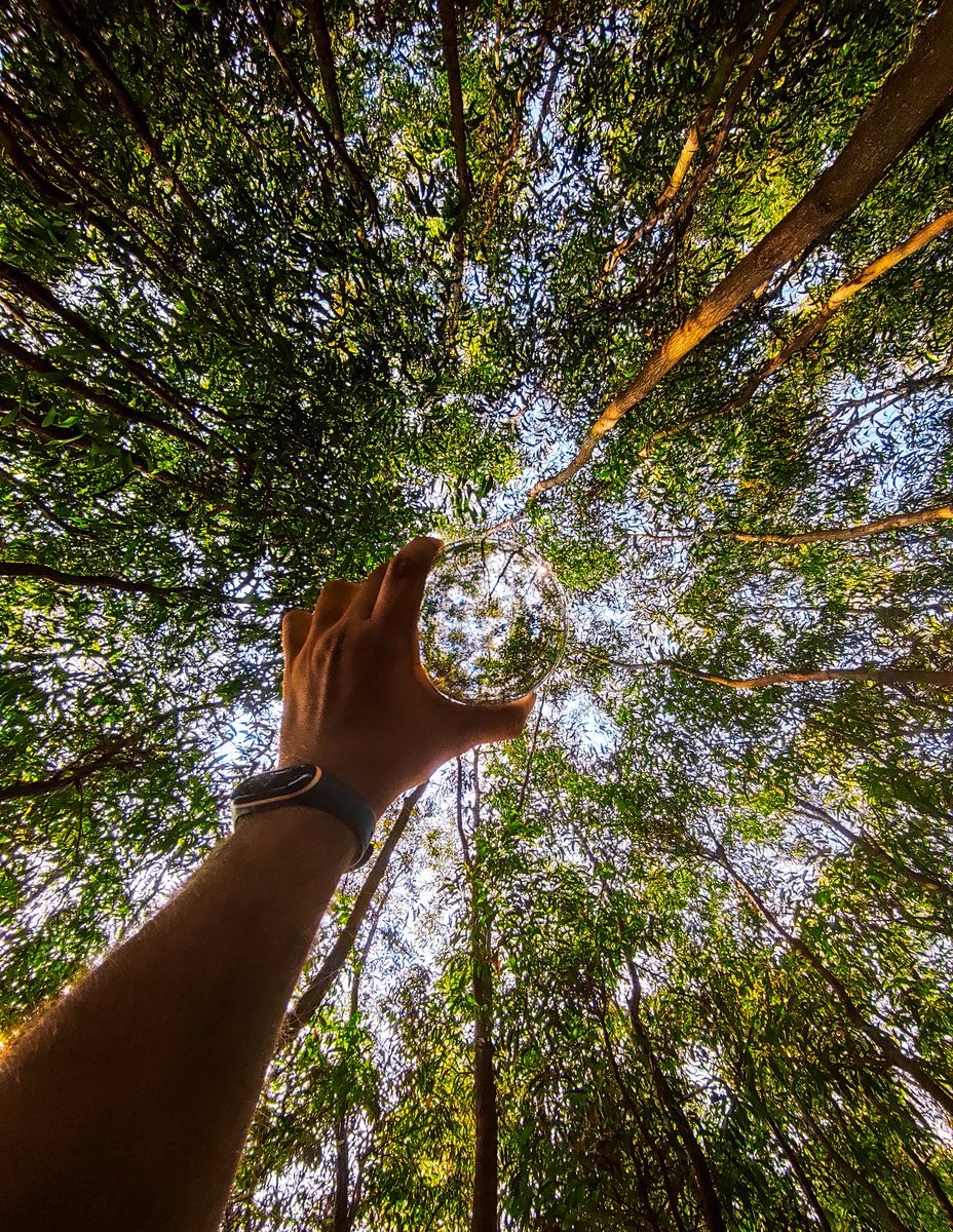 Parthac121's tweet image. Totally in love with the awesome camera of #redminote9promax
Now can't wait to explore the all new #108mpcamera of the beast #RedmiNote10ProMax #RedmiNote10Launch #RedmiNote10Series 

@manukumarjain @SnehaTainwala @manukumarjain @RedmiIndia @ankitv