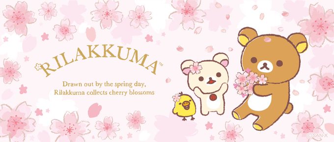 コリラックマのtwitterイラスト検索結果