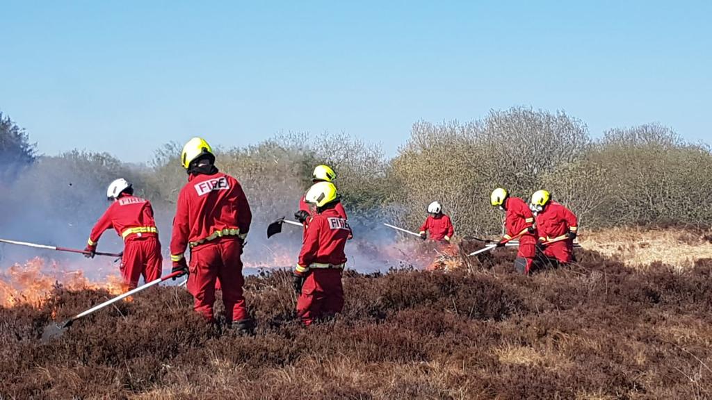Roscommon Fire tweet media