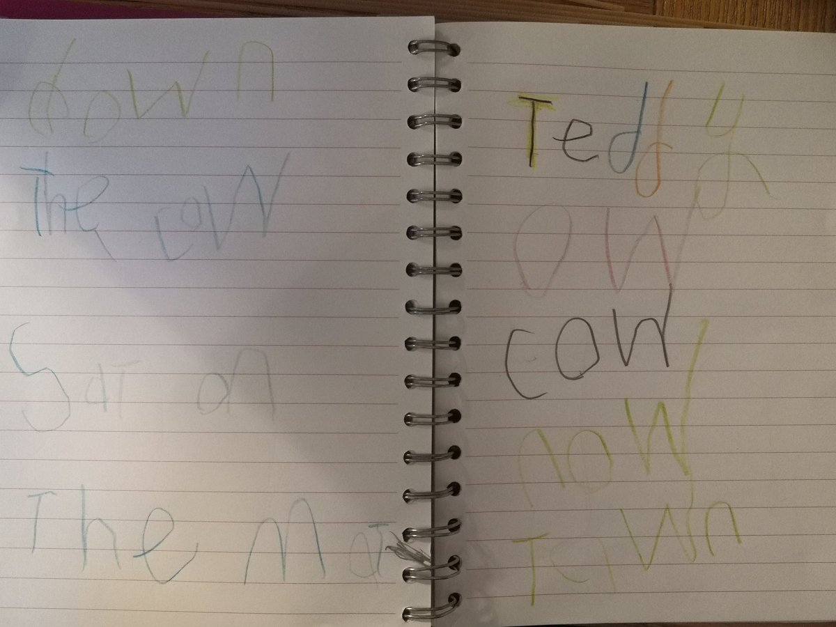 Lisa Savage tweet media