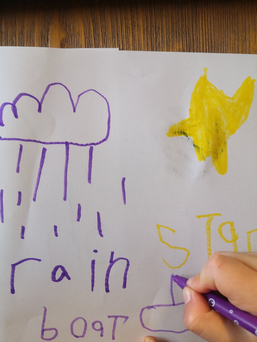 Lisa Savage tweet media