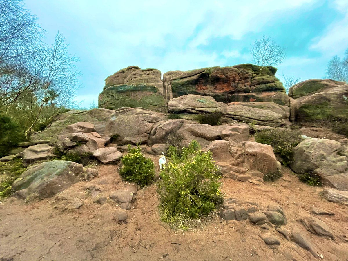 Short afternoon adventure with the hound, Thor’s Rock, the secret bench, and the bike berms #Thor #myfavouritebench #beagle #Wirral #lovewhereyoulive #spotthebeagle #thurstaston #thorstone https://t.co/mkp6TeIRor