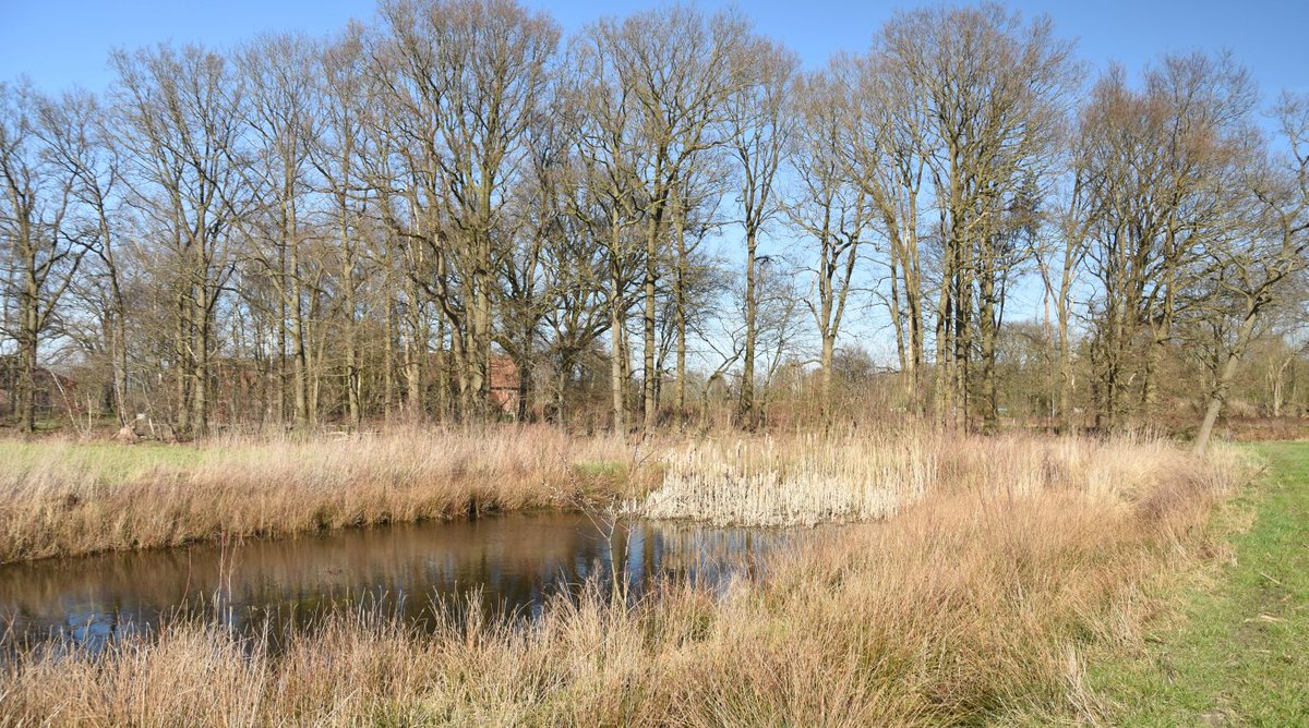 Boeren en landeigenaren kunnen weer gebruik maken van de Stimuleringsregeling Landschap (StiLa). 

bit.ly/2OkJi1k