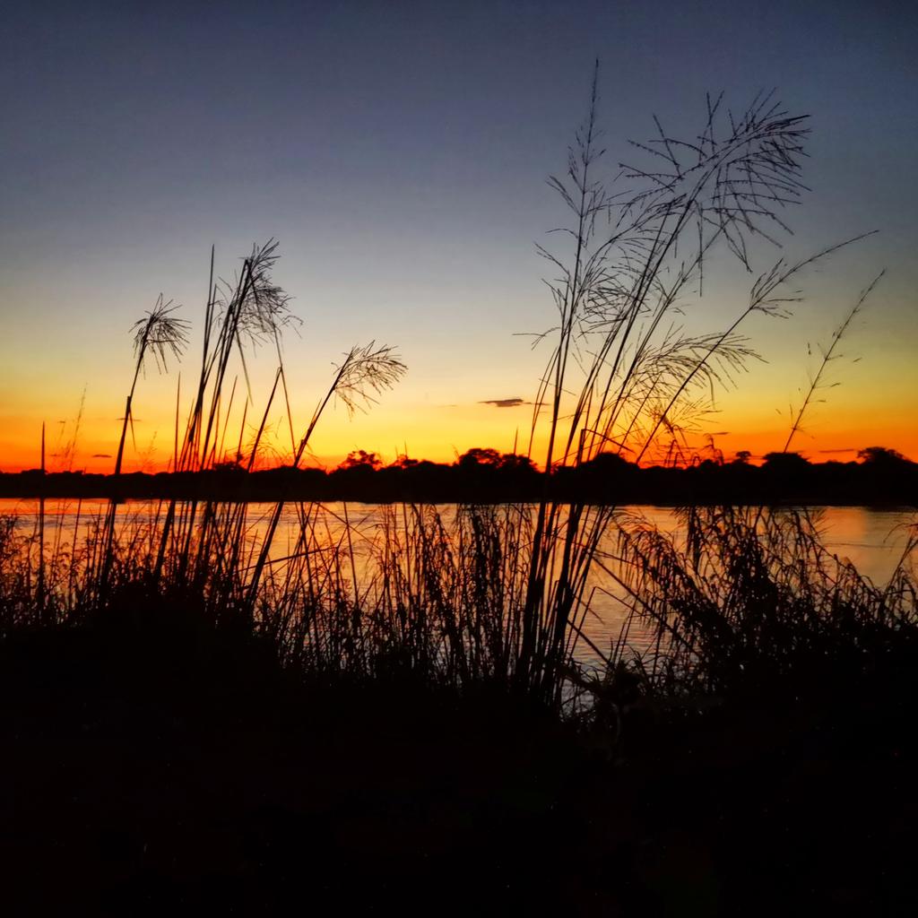 ZinvolReizen's tweet photo. Slaap lekker voor zo!
Ik lig al veilig in mijn tent... Alle malariamuggen buiten latend!!
#Okavango #Divundu #Namibia https://t.co/2D2nlBdXRx