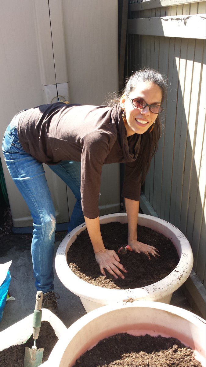 Here's a throwback to early TreeMobile days, and we're once again open in 2021 to deliver and plant volunteer-powered non-profit food-bearing perennials in your yard. bit.ly/3e8Wq4m <a href="/NFFTT/">Not Far From The Tree</a> <a href="/TOurbangrowers/">TorontoUrbanGrowers</a> #localfoodTO #growyourown