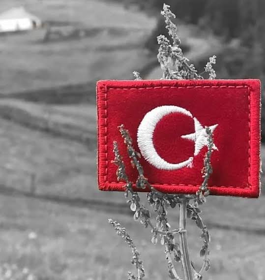 🇹🇷 Bitlis'te düşen helikopterde şehit olan askerlerimize Allah'tan rahmet, yaralılarımıza acil şifalar diliyoruz. 
Milletimizin başı sağ olsun. 🇹🇷