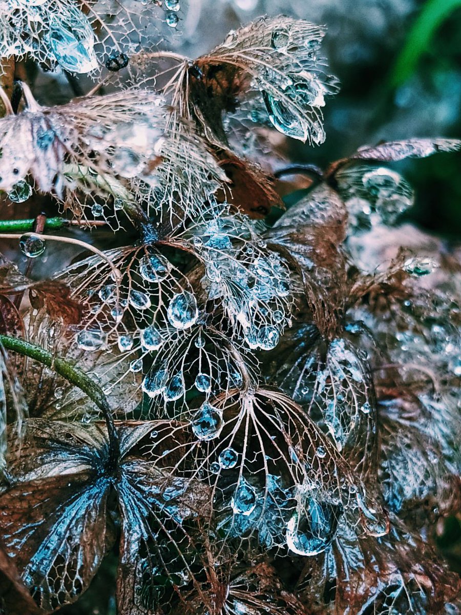 annlexitimia's tweet photo. "Drops" https://t.co/AOOH3k6L9b