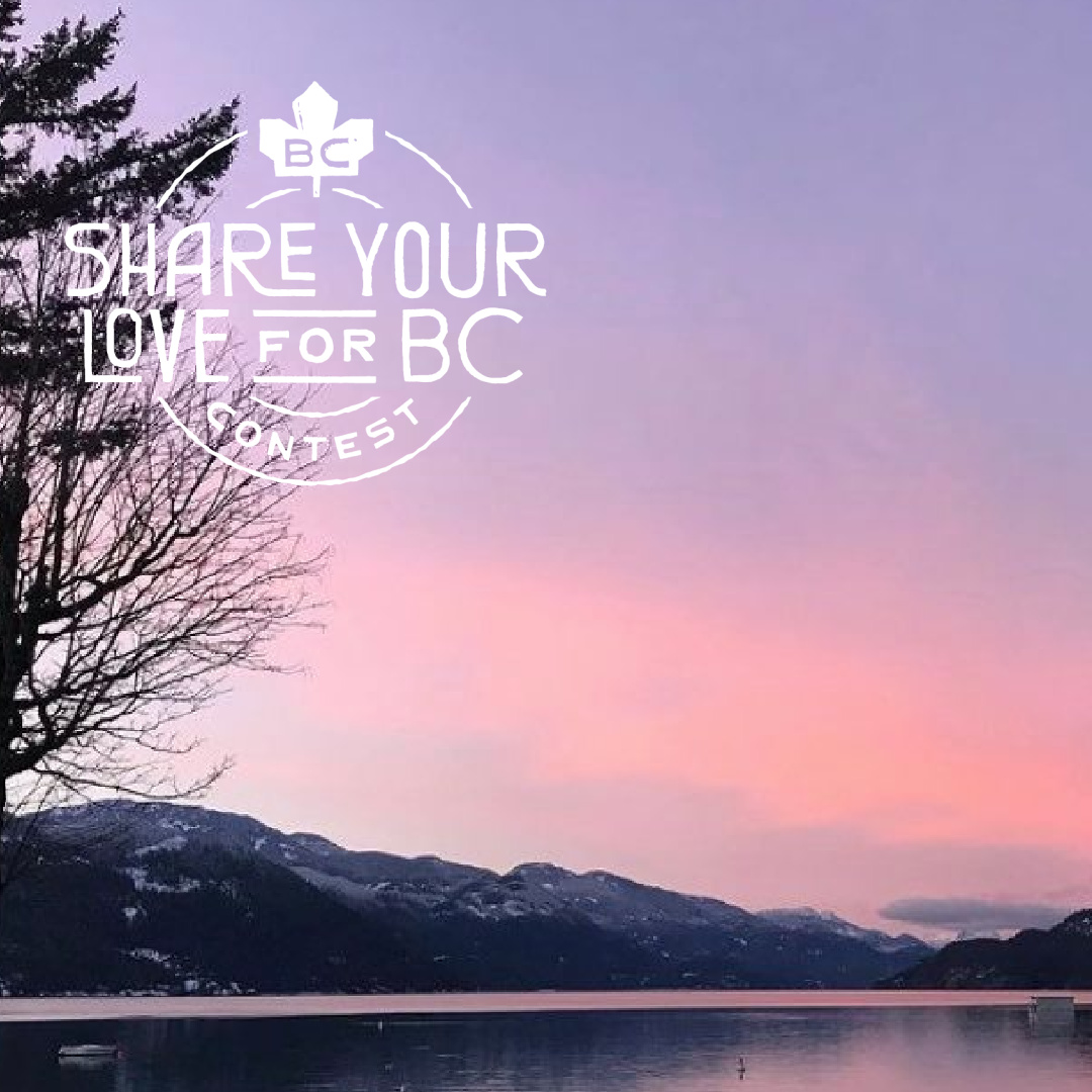Harrison_Beach's tweet photo. Share the love for #HarrisonHotSprings and you could win $500 in gift cards and vouchers from Destination BC to spend at local businesses in your community, to help stay local
and support local. See contest rules and enter at https://t.co/U6JPBfJ6Iz

📸 ramonaspics https://t.co/2ARylcl3hW