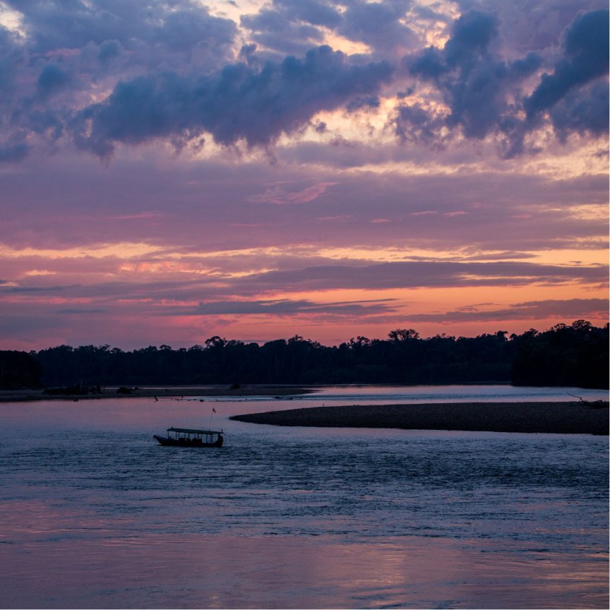 RainforestEx's tweet image. #FunIs waking up before the first light of the day with the incredible sounds of the #Amazonjungle and watching the sunrise from the boat.
#DivertidoEs levantarte antes de la primera luz del dia con los increibles sonidos de la #selvaamazonica y ver el amanecer desde el bote