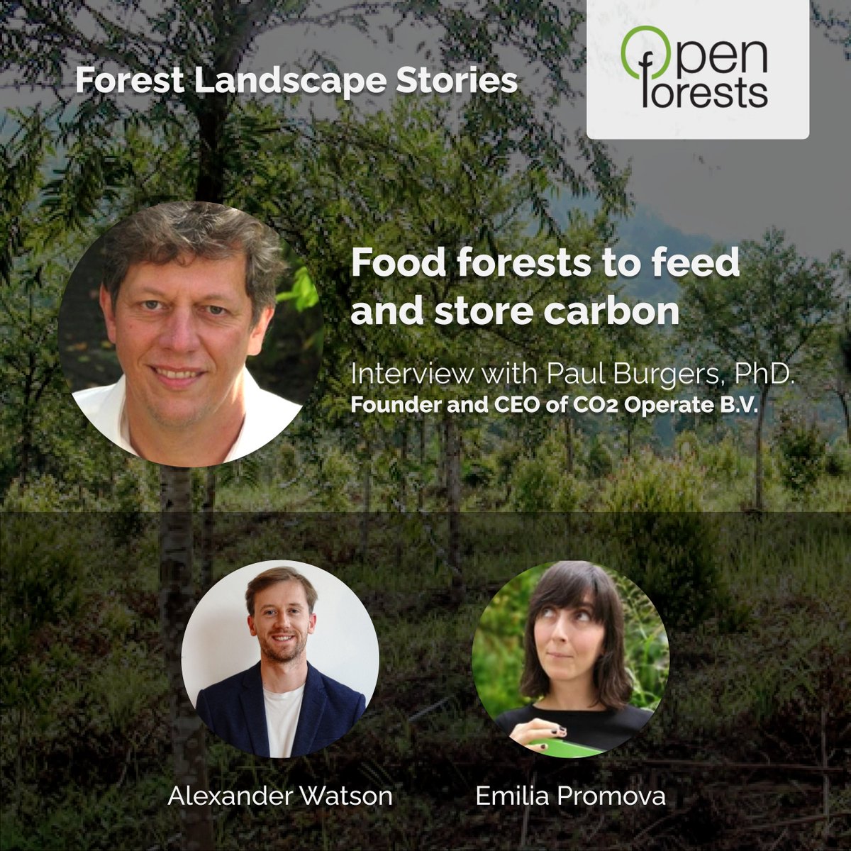 Learn how to establish food forests that create income for rural communities and store carbon. Interview with Paul Burgers the Founder of CO2 Operate B.V.#carbonneutral #reforestation #foodforest blog.openforests.com/food-forests-f… @PatrickRibeiro