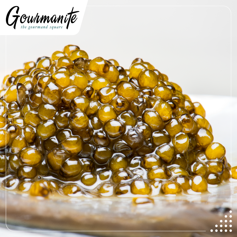 gourmanite's tweet photo. Sabías qué el Caviar del Amur se produce después de siete años. Su color puede ir de café claro a obscuro. Es un Caviar de sabor redondo con notas de frutas.  

#CaviarAmur #Gourmanité https://t.co/HhCtvkUEPf
