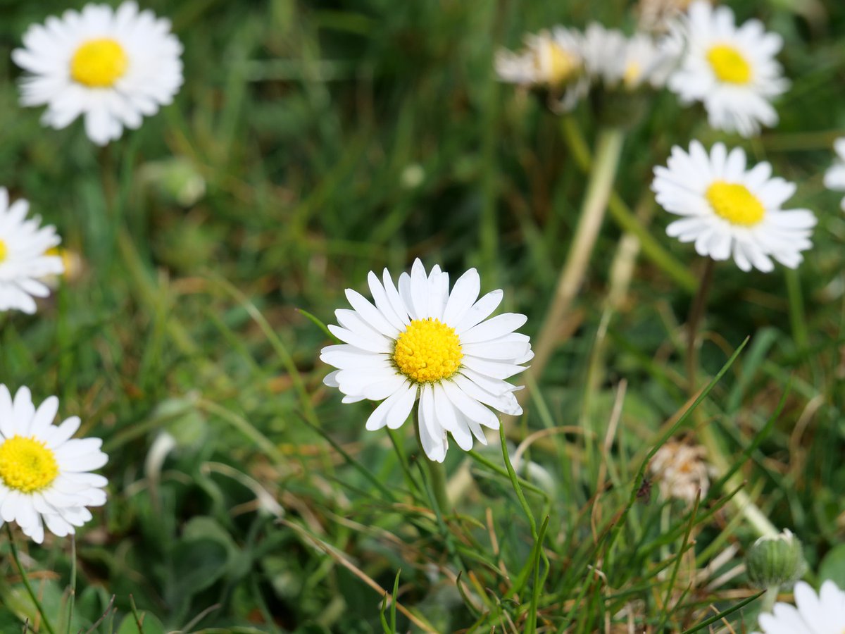 Spring Break is so close now! Hester Memorial Library will close tomorrow afternoon at 2 p.m. and reopen Tuesday morning, the 9th, at 8 a.m. We hope everyone has a restful and safe Spring Break!