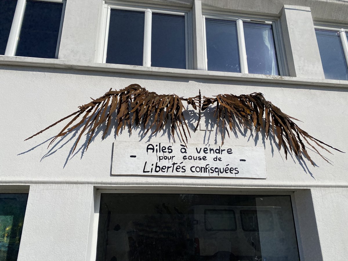 libertés confisquées
Les ailes de la liberté clouée au mur de mon atelier !

#liberte #artendanger #libertesconfisquees #artvivant #artcontemporain #daty #sculpture #sculpturemetal