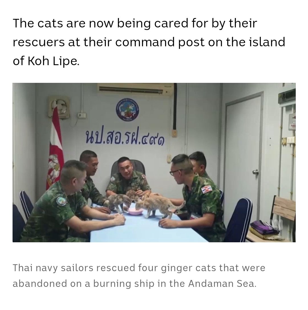 This is so heartwarming. When men use their strength to be heroes >>>