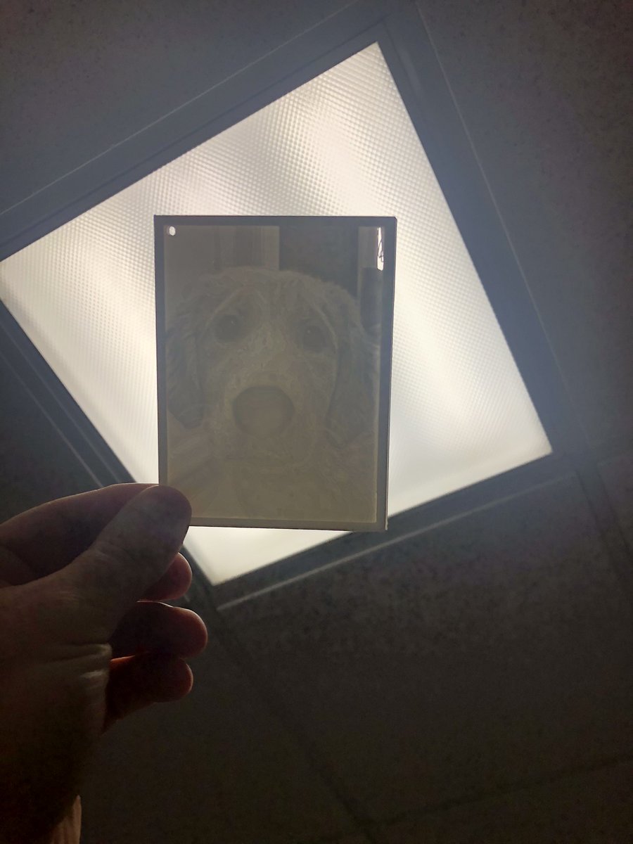 MrDsDreamTeam's tweet photo. Our 3D Lithophane projects are turning out AWESOME🔥🔥🔥🔥 #3Dprinting #ditchbook #xplap #tlap #MLmagical @jmattmiller @alicekeeler #AMSleads #amescsd https://t.co/XDFdOMpV0c