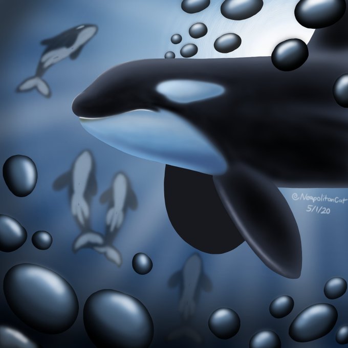 Dolphin 高画質 のtwitterイラスト検索結果 古い順 Dolphin 高画質 のtwitterイラスト検索結果 古い順