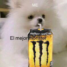 Tu Monster favorito es el Rehab solo que aún no te has dado cuenta.

Change my mind.