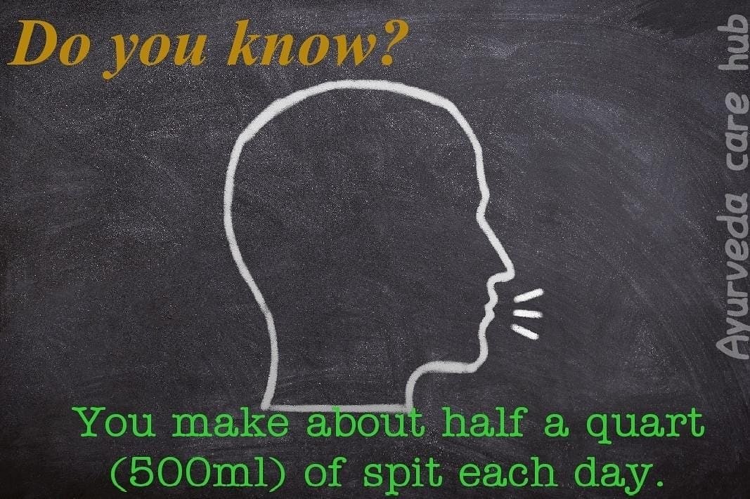 hub_ayurveda's tweet photo. #ayurvedacarehub #ayurveda #ayurvedalife #ayurvedalifestyle❤️ #natural #herbal  #human #bodyparts #humanbodyfacts #knowledge #spit https://t.co/h9Kxjec0XZ