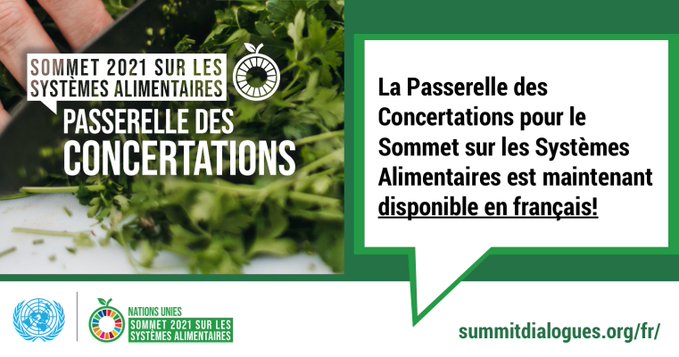 4SD Foundation tweet media