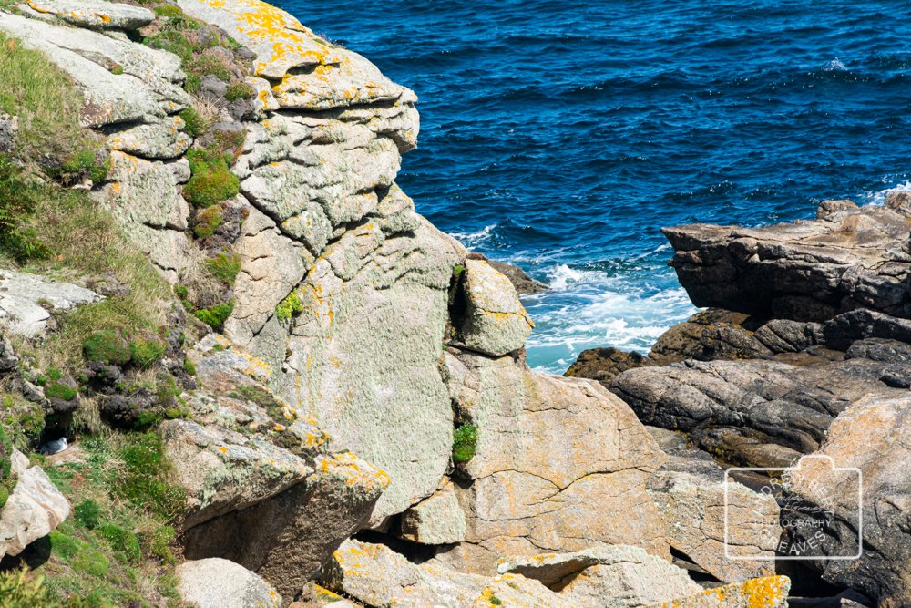 ABGreavesphoto's tweet photo. Rock face
#facethursday #thursdayface #rockface #rock #stoneface #stoneyfaced #stoneface #pareidolia #iseefaces #facesinthings #facesinplaces #face #Nikon #islesofscilly #StMartins #whatdoyoumeanyoudontseeit #pareidolie #iseefaceseverywhere #pareidoliapic https://t.co/fYcI120WE4