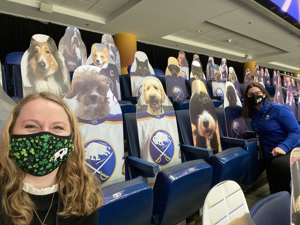 Who let the (social) dogs out?