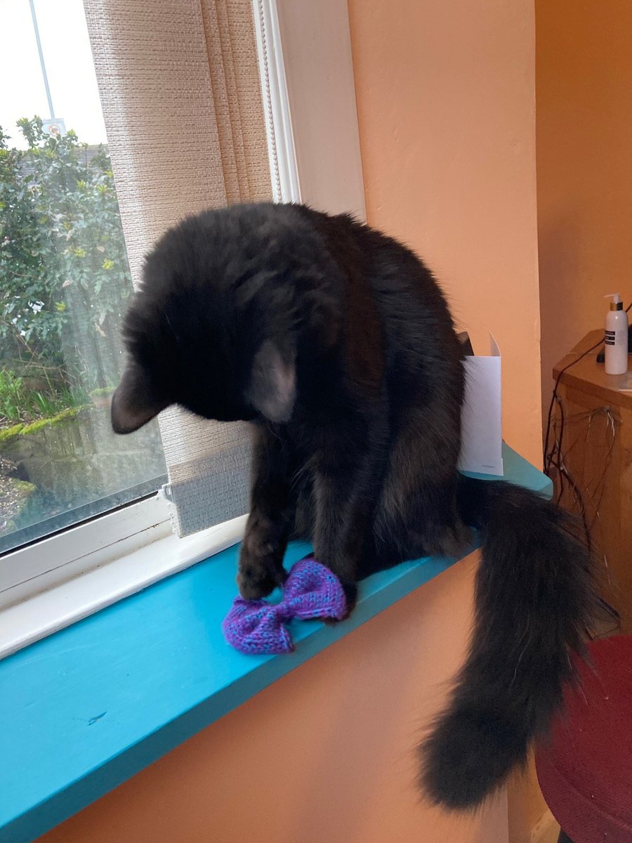 DTCSwansea's tweet photo. Yevgeny offers his interpretation on Dylan’s line, ‘to shade and knit anew the patch of words’, with this hand knitted bow tie! #WorldBookDay #BookBowTie #LockdownActivityList #KidsinMuseums https://t.co/6I55kqhQ4c