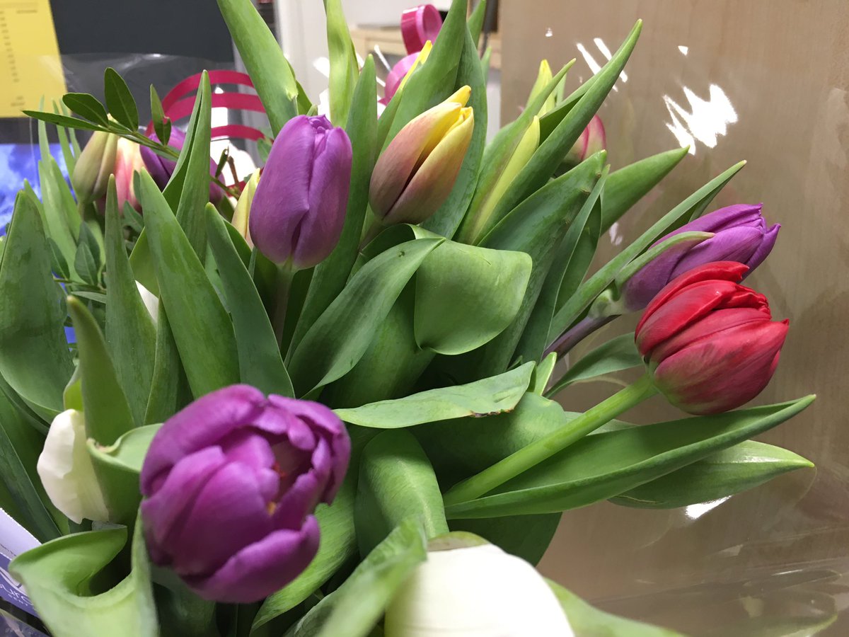 Mysterie-cadeau op het werk. Heerlijk! Geen idee wie er zo lief is om verjaardagsbloemen te sturen, maar ik vind het super! 🙏🏻 🙏🏻 🙏🏻