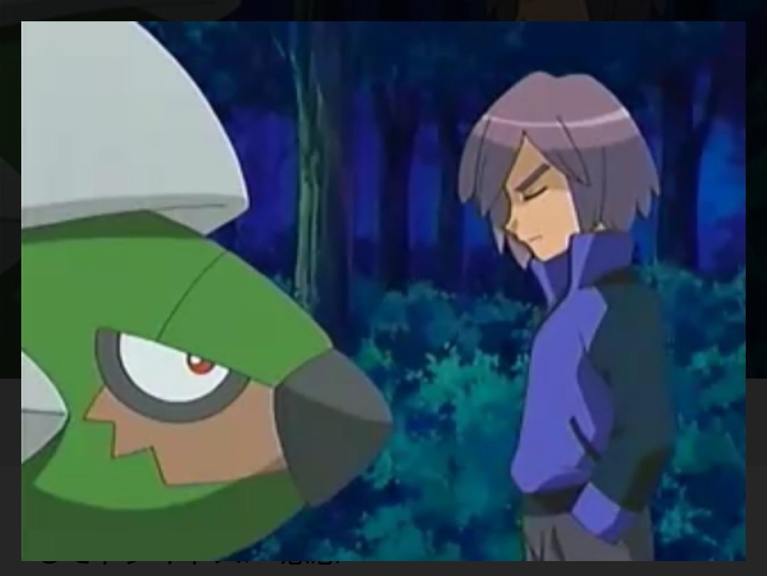 ポチエーナ サトシvsシンジ シンジを嫌いな理由に 初めてのポケモン ヒコザル をすてたから とあげる人がいますが シンジの初めてのポケモンはナエトルです ナエトルです 初めてのポケモンをそっち ゾロア の方が可愛いとパートナーと交換