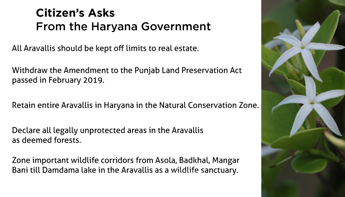 AravalliBachao's tweet photo. @Students4Arava1 @cmohry @Dchautala @rakeshdaultabad @SeemaTrikha_BJP @sudhirsinglabjp @DC_Faridabad @Dist_Admin_Ggm @GreenIndiaDrive @CSIR_NEERI @ChintanIndia @deepuchandranpk @DivyatiwariC Real estate &amp; mining needs to be kept out of Aravallis which are our #climate regulator, green lungs, water recharge zone, shield against desertification for NCR.
@HaryanaTweets @Chiranjeev_INC @KambojAnanya @GargiRawat #AravalliBachao #NoMiningInAravallis #WithdrawPLPAamendment https://t.co/mwua7Of8JX