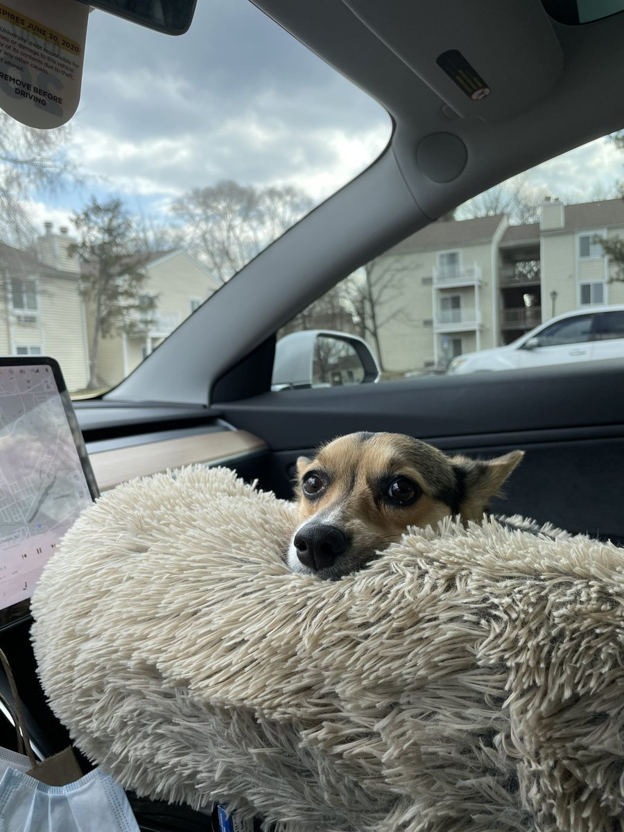 thiccdaddy27 tweet media