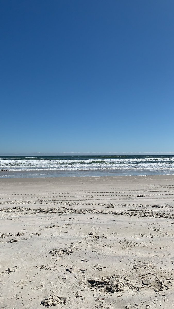 PrettyInTatts's tweet image. It’s nice if a little windy today