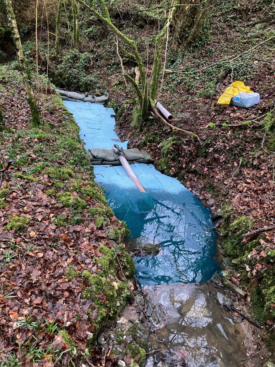 Environment AgencySW tweet media