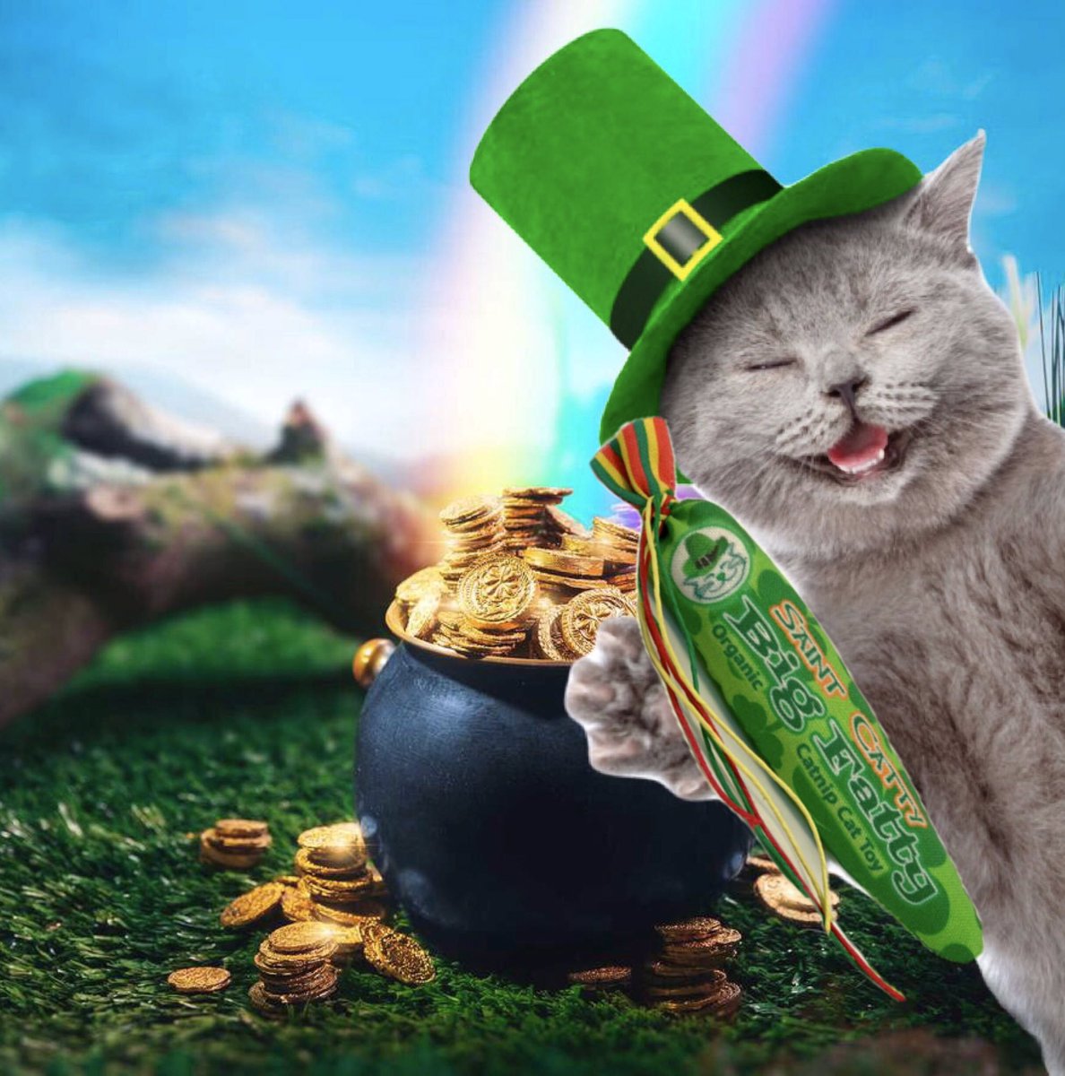kittyweedcatnip's tweet image. Feline Lucky? Get your kitty our NEW Saint Catty Big Fatty Catnip Cat Toy and watch the shenanigans!! Meowza! 🍀😺🍀 #catnip #cattoy #handmade #organic #goodstuff #lucky #CatsOfTwitter #leprechaun