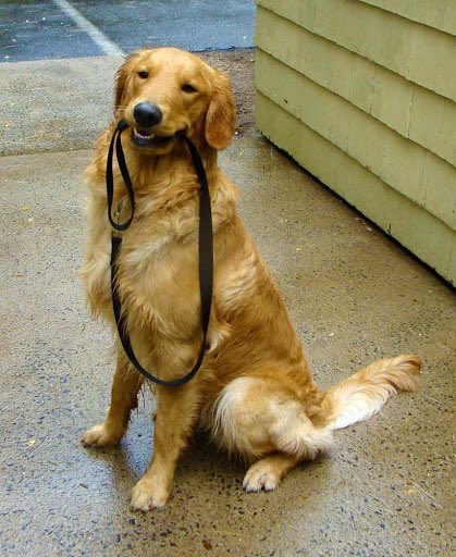 chale_howe's tweet photo. When a boy says you’re leading them on but in reality they’re leading themselves on https://t.co/Z4LMNWzG5o