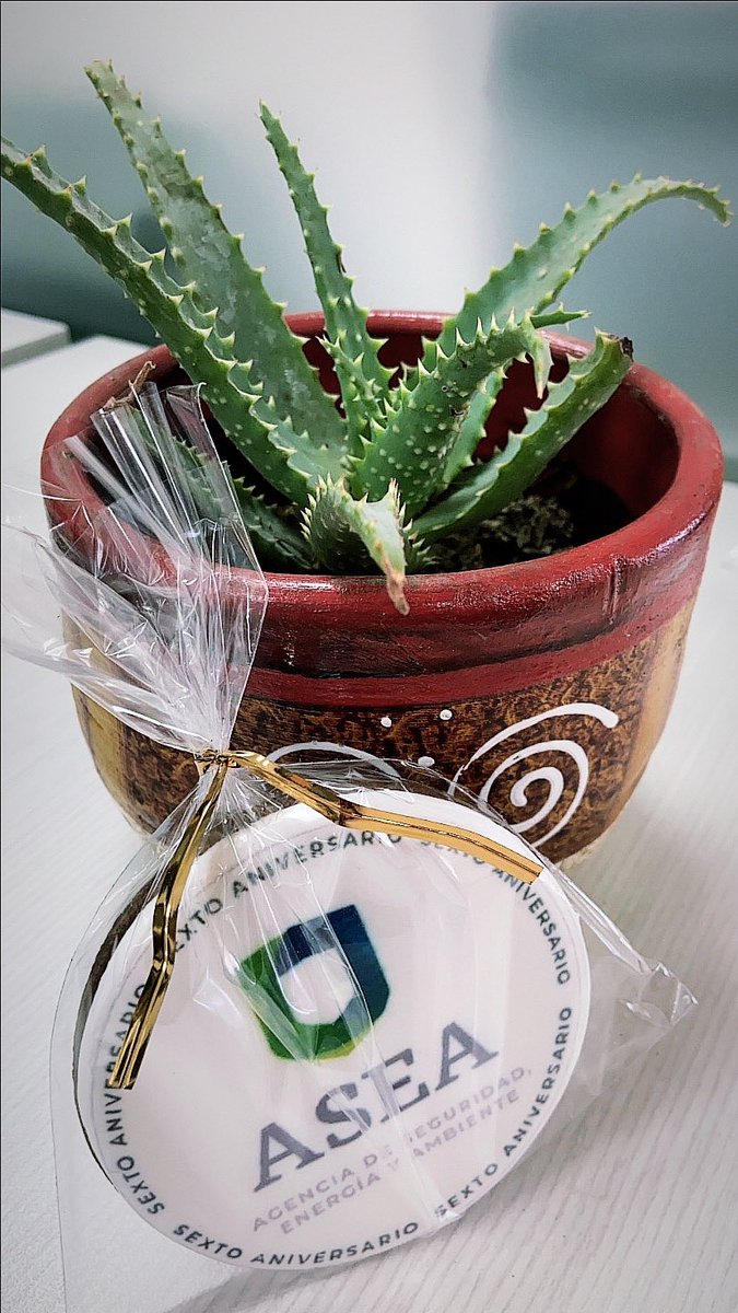 thelmixgp's tweet photo. Miiich @MichelleLelis graaacias por mi sábila y galletita deliii de aniversario @agencia_asea!! 🥰 🤤 #vamosporotros6 https://t.co/EQbYEpqhxO