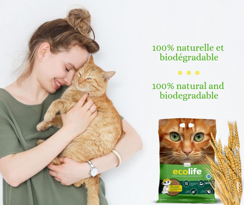 IntersandUK's tweet photo. Intersand Ecolife is 100% natural and 100% biodegradable, purrrfect for today’s environmentally conscious cat lovers. #catlovers #ecowarrior https://t.co/jaM59nuEAp