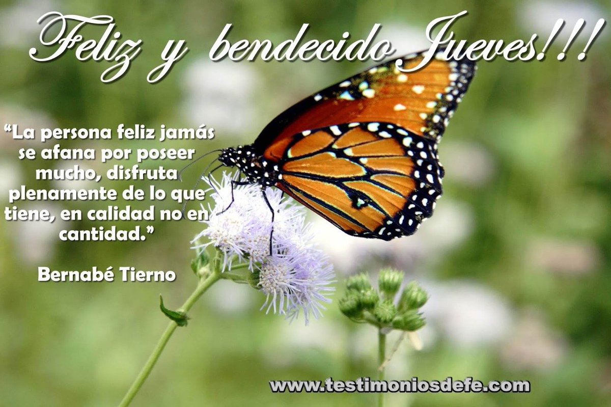 nanteca's tweet photo. Solo puedo desear bendiciones  y oraciones la fibromialgia es vencida no solo con tratamiento sino con FE,CONFIANZA Y ESPERANZA CONTRA ESPERANZA https://t.co/5e9p8NoKha, @RadioNuestro https://t.co/IhtJj2RXjh