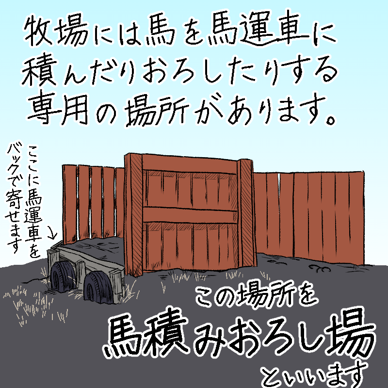 馬積み降ろし場は少し高さのある緩やかな坂になっていて、馬の積み降ろしがしやすくなっています。初めて名前聞いた時危うくふきだすところでした笑
馬積み場とも呼んでいたような…❓もし「ウチではこう呼んでる」というのがあればリプや引用RTで教えていただけるとありがたいです🙏💦
#馬 #イラスト 