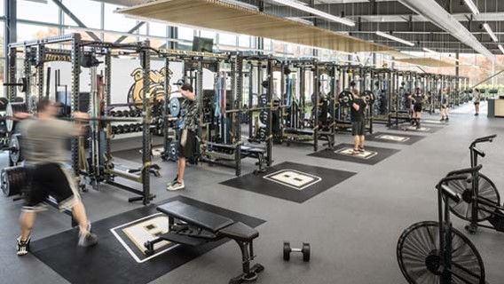 Steven Ciocci tweet media