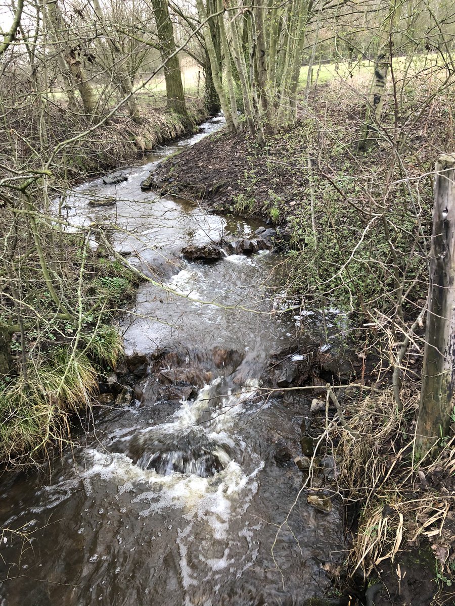 Tieschellekens's tweet photo. Veel water in ‘t Leike #Markdal @breda zo maar bij mij om de hoek. Lijkt wel @magnifiekZL https://t.co/ku7cBW6s2d