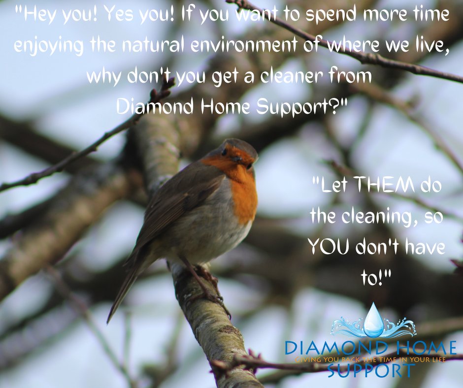 DHS North Devon (@dhsnorthdevon) on Twitter photo 