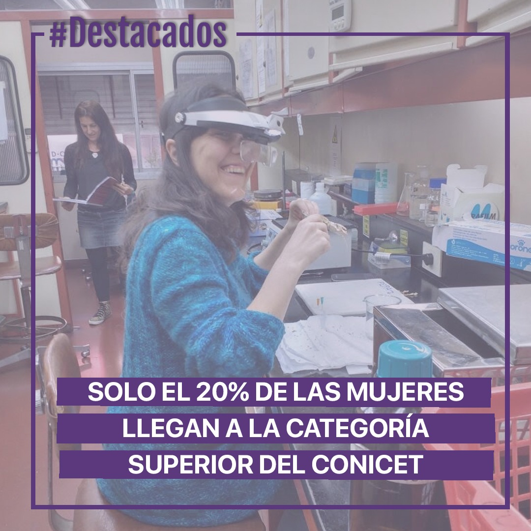 Innovar Sustentabilidad tweet media